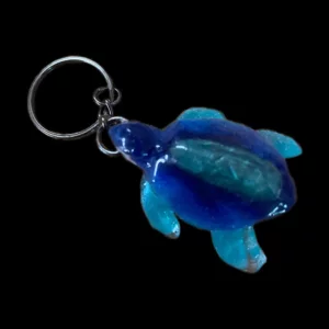 Tortue lisse avec deux bleu