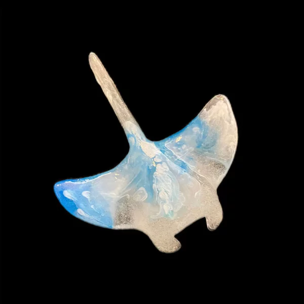 Raie manta océan blanc bleu transparent
