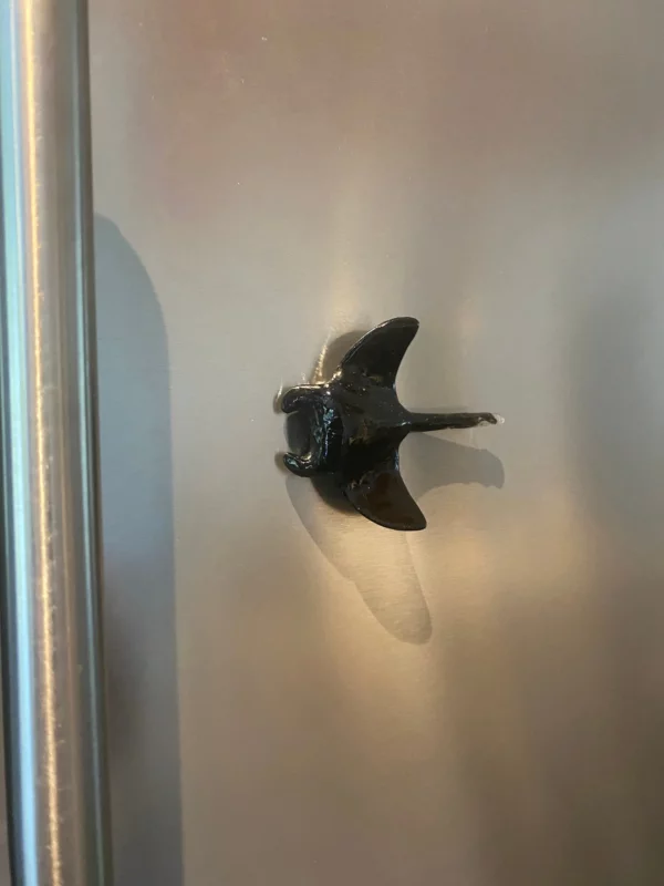 magnet 2 raie sur frigo